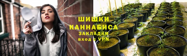 ешки Аркадак