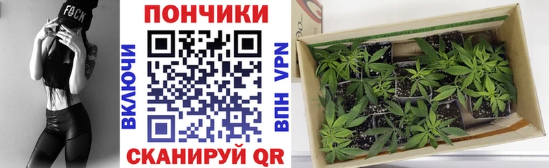 МАРИХУАНА VHQ Острогожск